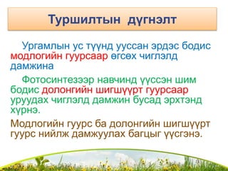 Туршилтын дүгнэлт
Ургамлын ус түүнд ууссан эрдэс бодис
модлогийн гуурсаар өгсөх чиглэлд
дамжина
Фотосинтезээр навчинд үүссэн шим
бодис долонгийн шигшүүрт гуурсаар
уруудах чиглэлд дамжин бусад эрхтэнд
хүрнэ.
Модлогийн гуурс ба долонгийн шигшүүрт
гуурс нийлж дамжуулах багцыг үүсгэнэ.
 