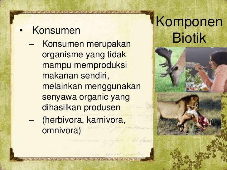 Biologi 10 ekosistem