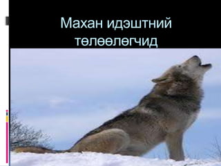 Махан идэштний
 төлөөлөгчид
 