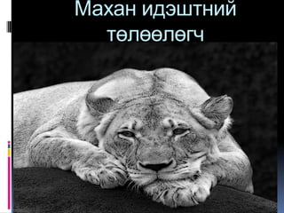 Махан идэштний
  төлөөлөгч
 