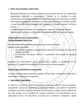 Alfred Russell Wallace (1823-1913)
Naturalista británico que realizó expediciones por América del Sur con importantes
aportaciones botánicas y entomológicas. También se le considera un gran
evolucionista, antropólogo y geógrafo. Aunque hizo estudios de arquitectura y trabajó
como ingeniero geógrafo y arquitecto, su interés por la botánica se manifestó pronto,
y a partir de 1845 decidió entregarse por completo a su auténtica pasión, la historia
natural.
También explico la evolución de las especies por medio de la Selección Natural.
Presento junto a Darwin en 1958, ante la Sociedad científica de Londres su trabajo.
TEORÍA SINTÉTICA DE LA EVOLUCIÓN O
TEORÍA MODERNA EVOLUTIVA
Esta teoría combina la genética mendeliana con la teoría de Darwin.
Se basa en dos postulados:
o Los cambios evolutivos se explican por la acción de la selección natural y de la
variación genética.
o La formación de nuevas especies o especiación está basada en procesos
genéticos.
Incorpora los conocimientos de la genética para explicar la variabilidad de las
poblaciones, el papel de las mutaciones y la formación de nuevas especies.
PRUEBAS QUE SUSTENTAN LA EVOLUCIÓN
Las líneas fundamentales de prueba proceden de los fósiles, la anatomía comparada la
embriología, la bioquímica y la genética.
ANATOMÍA COMPARADA
Se refiere al estudio de cómo las estructuras anatómicas difieren entre las especies,
comparando cuerpos de organismos de diferentes especies, para poner de manifiesto
semejanzas que solo se explican mediante la existencia de un origen común y diferencias
que sólo pueden ser el resultado de cambios evolutivos en la descendencia de un
antepasado común. De esta forma, el estudio de la anatomía comparada aporta
 
