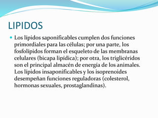 LIPIDOSLos lípidos saponificables cumplen dos funciones primordiales para las células; por una parte, los fosfolípidos forman el esqueleto de las membranas celulares (bicapa lipídica); por otra, los triglicéridos son el principal almacén de energía de los animales. Los lípidos insaponificables y los isoprenoides desempeñan funciones reguladoras (colesterol, hormonas sexuales, prostaglandinas).