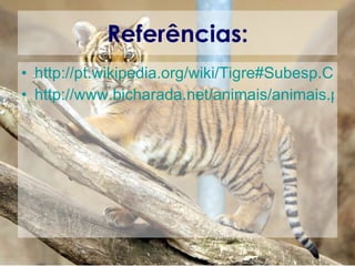 Referências: http://pt.wikipedia.org/wiki/Tigre#Subesp.C3.A9cies_inv.C3.A1lidas http://www.bicharada.net/animais/animais.php?aid=153   