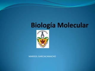 Biología Molecular MARISOL GARCIACAMACHO 