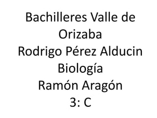 Bachilleres Valle de Orizaba Rodrigo Pérez Alducin	 Biología Ramón Aragón 3: C 