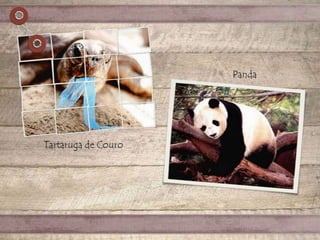 Desaparecimento de espécies animais e vegetais