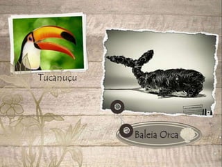 Desaparecimento de espécies animais e vegetais