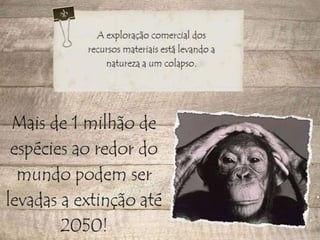 Desaparecimento de espécies animais e vegetais