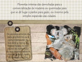 Desaparecimento de espécies animais e vegetais