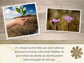 Desaparecimento de espécies animais e vegetais