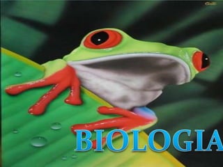 BIOLOGIA BIOLOGIA 