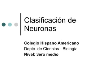 Clasificación de Neuronas Colegio Hispano Americano Depto. de Ciencias - Biología Nivel: 3ero medio 