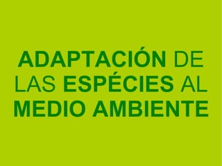 ADAPTACIÓN  DE LAS  ESPÉCIES  AL  MEDIO AMBIENTE 