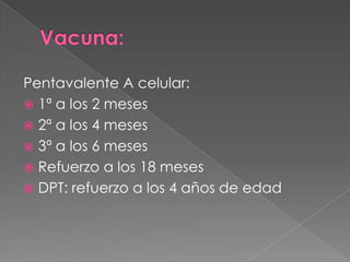Vacuna:Pentavalente A celular:1ª a los 2 meses2ª a los 4 meses3ª a los 6 mesesRefuerzo a los 18 mesesDPT: refuerzo a los 4 años de edad