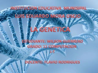 INSTITUCION EDUCATIVA  MUNISIPAL LUIS EDUARDO MORA OSEJO LA GENETICA ESTUDIANTE: WILSON GUERRERO GRADO: 11 COMPUTACION  J-T DOCENTE: FLAVIO RODRIGUES 