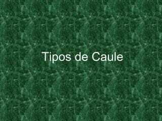 Tipos de Caule 