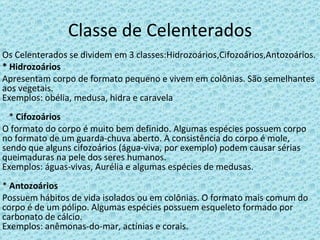 Classe de Celenterados Os Celenterados se dividem em 3 classes:Hidrozoários,Cifozoários,Antozoários. * Hidrozoários Apresentam corpo de formato pequeno e vivem em colônias. São semelhantes aos vegetais. Exemplos: obélia, medusa, hidra e caravela   *  Cifozoários O formato do corpo é muito bem definido. Algumas espécies possuem corpo no formato de um guarda-chuva aberto. A consistência do corpo é mole, sendo que alguns cifozoários (água-viva, por exemplo) podem causar sérias queimaduras na pele dos seres humanos. Exemplos: águas-vivas, Aurélia e algumas espécies de medusas. *  Antozoários Possuem hábitos de vida isolados ou em colônias. O formato mais comum do corpo é de um pólipo. Algumas espécies possuem esqueleto formado por carbonato de cálcio. Exemplos: anêmonas-do-mar, actínias e corais. 