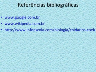 Referências bibliográficas www.google.com.br www.wikipedia.com.br http://www.infoescola.com/biologia/cnidarios-coelenterata-celenterados/ 