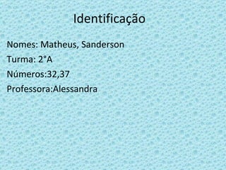 Identificação Nomes: Matheus, Sanderson Turma: 2°A Números:32,37 Professora:Alessandra 