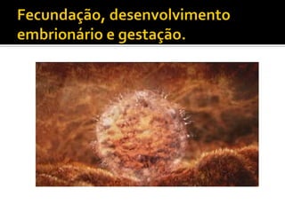 Biologia – 12º Ano (FecundaçãO)