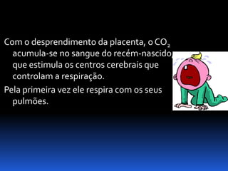 Biologia – 12º Ano (Mecanismos Que Controlam O Desenvolvimento EmbrionáRio Parto)