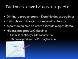 Biologia – 12º Ano (Mecanismos Que Controlam O Desenvolvimento EmbrionáRio Parto)