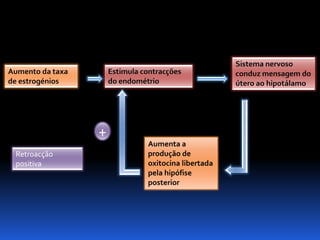 Biologia – 12º Ano (Mecanismos Que Controlam O Desenvolvimento EmbrionáRio Parto)