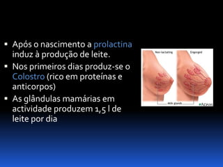 Biologia – 12º Ano (Mecanismos Que Controlam O Desenvolvimento EmbrionáRio Parto)