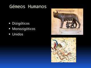 Biologia – 12º Ano (Mecanismos Que Controlam O Desenvolvimento EmbrionáRio Parto)