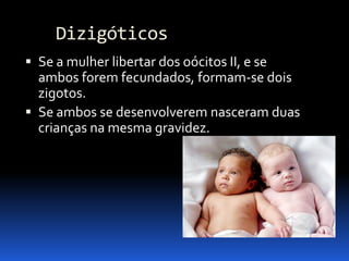 Biologia – 12º Ano (Mecanismos Que Controlam O Desenvolvimento EmbrionáRio Parto)