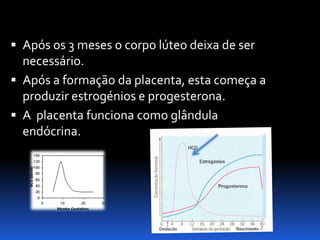 Biologia – 12º Ano (Mecanismos Que Controlam O Desenvolvimento EmbrionáRio Parto)