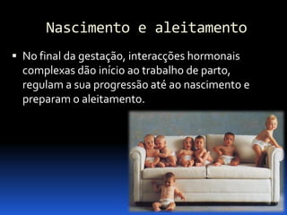Biologia – 12º Ano (Mecanismos Que Controlam O Desenvolvimento EmbrionáRio Parto)