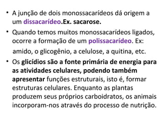 • A junção de dois monossacarídeos dá origem a
um dissacarídeo.Ex. sacarose.
• Quando temos muitos monossacarídeos ligados,
ocorre a formação de um polissacarídeo. Ex:
amido, o glicogênio, a celulose, a quitina, etc.
• Os glicídios são a fonte primária de energia para
as atividades celulares, podendo também
apresentar funções estruturais, isto é, formar
estruturas celulares. Enquanto as plantas
produzem seus próprios carboidratos, os animais
incorporam-nos através do processo de nutrição.
 