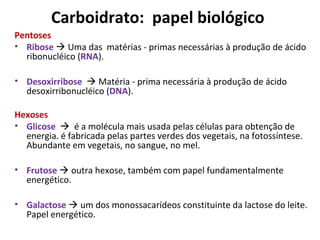 Carboidrato: papel biológico
Pentoses
• Ribose  Uma das matérias - primas necessárias à produção de ácido
ribonucléico (RNA).
• Desoxirribose  Matéria - prima necessária à produção de ácido
desoxirribonucléico (DNA).
Hexoses
• Glicose  é a molécula mais usada pelas células para obtenção de
energia. é fabricada pelas partes verdes dos vegetais, na fotossíntese.
Abundante em vegetais, no sangue, no mel.
• Frutose  outra hexose, também com papel fundamentalmente
energético.
• Galactose  um dos monossacarídeos constituinte da lactose do leite.
Papel energético.
 
