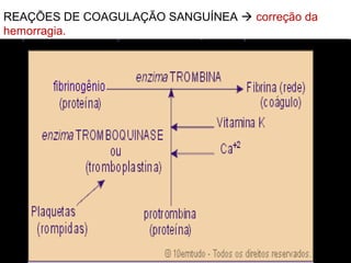 REAÇÕES DE COAGULAÇÃO SANGUÍNEA  correção da
hemorragia.
 