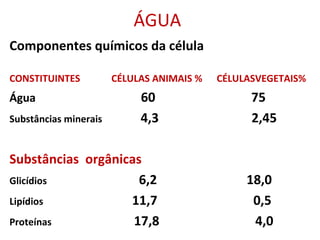 ÁGUA
Componentes químicos da célula
CONSTITUINTES CÉLULAS ANIMAIS % CÉLULASVEGETAIS%
Água 60 75
Substâncias minerais 4,3 2,45
Substâncias orgânicas
Glicídios 6,2 18,0
Lipídios 11,7 0,5
Proteínas 17,8 4,0
 