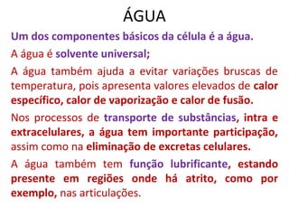 ÁGUA
Um dos componentes básicos da célula é a água.
A água é solvente universal;
A água também ajuda a evitar variações bruscas de
temperatura, pois apresenta valores elevados de calor
específico, calor de vaporização e calor de fusão.
Nos processos de transporte de substâncias, intra e
extracelulares, a água tem importante participação,
assim como na eliminação de excretas celulares.
A água também tem função lubrificante, estando
presente em regiões onde há atrito, como por
exemplo, nas articulações.
 