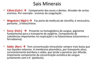 Sais Minerais
• Cálcio (Ca2+)  Componente dos ossos e dentes. Ativador de certas
enzimas. Por exemplo : enzimas da coagulação .
• Magnésio ( Mg2+)  Faz parte da molécula de clorofila; é necessário,
portanto , à fotossíntese.
• Ferro (Fe2+)  Presente na hemoglobina do sangue, pigmento
fundamental para o transporte de oxigênio. Componente de
substâncias importantes na respiração e na fotossíntese (citocromos e
ferrodoxina).
• Sódio (Na+)  Tem concentração intracelular sempre mais baixa que
nos líquidos externos. A membrana plasmática, por transporte ativo,
constantemente bombeia o sódio, que tende a penetrar por difusão.
Importante componente da concentração osmótica do sangue
juntamente com o K (potássio).
 