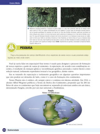 Ensino Médio




                             Melanismo industrial envolvendo a mariposa do gênero Biston, é o caso mais conhecido deste tipo de seleção obser-
                              vado a partir de 1850, em regiões industrializadas dos EUA, Inglaterra e Europa. Antes da Revolução Industrial observa-
                              vam-se grandes quantidades de mariposas com asas de cor mais clara (fenótipo dominante), aptas para camuflarem-se
                              entre os liquens que cobriam os troncos das árvores, sendo raríssimas as mariposas de cor mais escura (fenótipo reces-
                              sivo). Por causa da Revolução Industrial, os liquens dos troncos escureceram e as mariposas de asas escuras se multipli-
                              caram na forma que melhor se camuflava, tornando-se muito freqüentes, ao mesmo tempo em que as mariposas claras
                              eram cada vez mais raras. Essa freqüência dos tipos claros e escuros de Biston betularia era devido à predação por pás-
                              saros, que agiram como agentes de seleção natural Fonte: Departamento de genética, Universidad Complutense Madrid,
                              Espanha, www.ucm.es


             	        PESQUISA

        Faça uma pesquisa de campo identificando cinco espécies de seres vivos e suas possíveis adap-
     tações ao meio onde vivem.


       Você já ouviu falar em especiação? Esse termo é usado para designar o processo de formação
   de novas espécies a partir de outras já existentes. A especiação, de acordo com contribuições re-
   centes, é resultante da mutação gênica e recombinação genética associada a outros fatores como
   seleção natural, isolamento reprodutivo/sexual e/ou geográfico, dentre outros.
       Em se tratando de especiação e isolamento geográfico eis algumas questões importantes
   que não podem ser deixadas de lado, como é o caso da formação dos continentes.
       Nosso Planeta não é estático, ele sempre esteve e continua em intensa atividade. Em 1912, o
   alemão Alfred Wegener publicou a Teoria da Deriva dos Continentes, propondo que há 200 mi-
   lhões de anos os continentes que hoje encontram-se separados já estiveram unidos em um único,
   denominado Pangéia, envolto por um mar universal, a Panthalassa.




                                                                                                        Teoria da Deriva Continental.


104 Biodiversidade
 