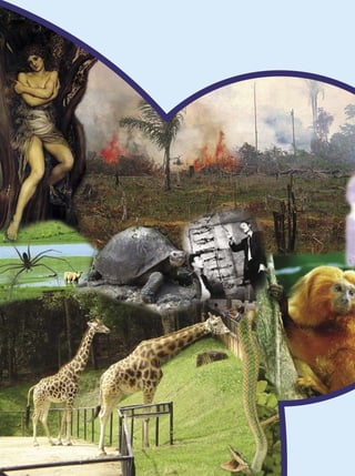 Ensino Médio




110 Biodiversidade
 