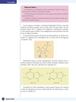 Ensino Médio


                             Fique por dentro ...
                           O hidrogênio é um elemento químico pertencente à família 1 (I A), por-
                       tanto possui um elétron na sua última camada.
                          O fósforo (P) pertence à família 15 (V A), possui cinco elétrons na última
                       camada eletrônica.
                          O elemento oxigênio (O) possui seis elétrons na sua última camada, per-
                       tencendo à família 16 (VI A).


                          Com a ligação covalente o elemento hidrogênio (H) fica com dois
                      elétrons na última camada, como o hélio (He), um gás nobre. Os ele-
                      mentos fósforo (P) e oxigênio (O) adquirem a distribuição eletrôni-
                      ca dos demais gases nobres com configuração mais próxima (oito elé-
                      trons na última camada).
                          Da mesma forma, para a formação da desoxirribose, os átomos car-
                      bono (C), oxigênio (O) e hidrogênio (H), se unem através de ligações
                      covalentes. Veja:
                                                                            OH
                                                                    H       C    H
                                                    HO          O
                                                        C               C
                                                    H       H       H        H
                                                            C       C
                                                        H               OH


                          Finalmente temos as bases nitrogenadas. As bases púricas são es-
                      truturas químicas formadas por duas cadeias fechadas, também deno-
                      minadas, anéis. São elas: adenina (A) e guanina (G).


                                    NH2                                               O
                                    C               N                                 C             N
                               N           C                                H    N         C
                                                        C H                                             C H
                         H     C           C                                     C         C
                                    N               N                           NH2   N             N
                                                    H                                               H
                                      adenina (A)                                     guanina (G)


                         Formando as bases pirimídicas, temos quatro átomos de carbono
                      e dois de nitrogênio em uma cadeia fechada. No DNA temos a citosi-
                      na (C) e a timina (T).



134 Biodiversidade
 
