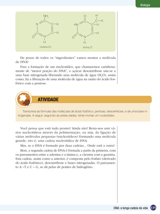 Biologia


                        NH2                         O            H
                         C                          C         C H
                 N                  C   H    HN             C H

                 C                  C   H       C           C    H
             O           N                  O       N
                        H                           H
                     citosina (C)                   timina (T)



    De posse de todos os “ingredientes” vamos montar a molécula
de DNA?
    Para a formação de um nucleotídeo, que chamaremos carinhosa-
mente de “menor porção do DNA”, o açúcar desoxirribose une-se a
uma base nitrogenada liberando uma molécula de água (H2O), assim
como, há a liberação de uma molécula de água na união do ácido fos-
fórico com a pentose.




         	       ATIVIDADE

     Transcreva as fórmulas das moléculas de ácido fosfórico, pentose, desoxirribose, e de uma base ni-
 trogenada. A seguir, seguindo as pistas dadas, tente montar um nucleotídeo.



   Você pensa que está tudo pronto? Ainda não! Resta-nos unir vá-
rios nucleotídeos através da polimerização, ou seja, da ligação de
várias moléculas pequenas (nucleotídeos) formando uma molécula
grande, isto é, uma cadeia nucleotídica de DNA.
   Mas, se o DNA é formado por duas cadeias... Onde está a outra?
   Bem, a segunda cadeia de DNA é formada a partir da primeira, com
os pareamentos entre a adenina e a timina e, a citosina com a guanina.
Esta cadeia, assim como a anterior, é composta pelo fosfato (derivado
do ácido fosfórico), desoxirribose e bases nitrogenadas. O pareamen-
to A –T e C – G, se dá pelas de pontes de hidrogênio.




                                                                            DNA: a longa cadeia da vida 135
 