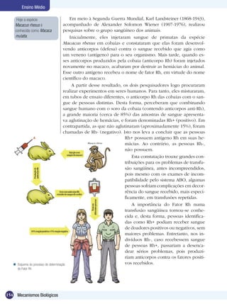 Ensino Médio

     Hoje a espécie                         Em meio à Segunda Guerra Mundial, Karl Landsteiner (1868-1943),
    Macacus rhesus é                     acompanhado de Alexander Solomon Wiener (1907-1976), realizou
    conhecida como Macaca                pesquisas sobre o grupo sangüíneo dos animais.
    mulatta.                                Inicialmente, eles injetaram sangue de primatas da espécie
                                         Macacus rhesus em cobaias e constataram que elas foram desenvol-
                                         vendo anticorpos (defesa) contra o sangue recebido que agia como
                                         um veneno (antígeno) para o seu organismo. Mais tarde, quando es-
                                         ses anticorpos produzidos pela cobaia (anticorpo Rh) foram injetados
                                         novamente no macaco, acabaram por destruir as hemácias do animal.
                                         Esse outro antígeno recebeu o nome de fator Rh, em virtude do nome
                                         científico do macaco.
                                              A partir desse resultado, os dois pesquisadores logo procuraram
                                         realizar experimentos em seres humanos. Para tanto, eles misturaram,
                                         em tubos de ensaio diferentes, o anticorpo Rh das cobaias com o san-
                                         gue de pessoas distintas. Desta forma, perceberam que combinando
                                         sangue humano com o soro da cobaia (contendo anticorpos anti-Rh),
                                         a grande maioria (cerca de 85%) das amostras de sangue apresenta-
                                         va aglutinação de hemácias, e foram denominadas Rh+ (positivo). Em
                                         contrapartida, as que não aglutinaram (aproximadamente 15%), foram
                                         chamadas de Rh- (negativo). Isto nos leva a concluir que as pessoas
                                                                         Rh+ possuem antígeno Rh em suas he-
                                                                         mácias. Ao contrário, as pessoas Rh-,
                                                                         não possuem.
                                                                             Esta constatação trouxe grandes con­
                                                                         tribuições para os problemas de transfu-
                                                                         são sangüínea, antes incompreendidos,
                                                                         pois mesmo com os exames de incom-
                                                                         patibilidade pelo sistema ABO, algumas
                                                                         pessoas sofriam complicações em decor-
                                                                         rência do sangue recebido, mais especi-
                                                                         ficamente, em transfusões repetidas.
                                                                             A importância do Fator Rh numa
                                                                         transfusão sangüínea tornou-se conhe-
                                                                         cida e, desta forma, pessoas identifica-
                                                                         das como Rh+ podiam receber sangue
                                                                         de doadores positivos ou negativos, sem
                                                                         maiores problemas. Entretanto, nos in-
                                                                         divíduos Rh-, caso recebessem sangue
                                                                         de pessoas Rh+, passariam a desenca-
                                                                         dear sérios problemas, pois produzi-
                                                                         riam anticorpos contra os fatores positi-
      Esquema do processo de determinação                               vos recebidos.
       do Fator Rh.




154 Mecanismos Biológicos
 