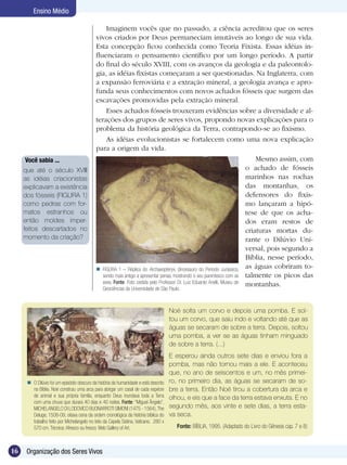 Ensino Médio

                                                 Imaginem vocês que no passado, a ciência acreditou que os seres
                                            vivos criados por Deus permaneciam imutáveis ao longo de sua vida.
                                            Esta concepção ficou conhecida como Teoria Fixista. Essas idéias in-
                                            fluenciaram o pensamento científico por um longo período. A partir
                                            do final do século XVIII, com os avanços da geologia e da paleontolo-
                                            gia, as idéias fixistas começaram a ser questionadas. Na Inglaterra, com
                                            a expansão ferroviária e a extração mineral, a geologia avança e apro-
                                            funda seus conhecimentos com novos achados fósseis que surgem das
                                            escavações promovidas pela extração mineral.
                                                 Esses achados fósseis trouxeram evidências sobre a diversidade e al-
                                            terações dos grupos de seres vivos, propondo novas explicações para o
                                            problema da história geológica da Terra, contrapondo-se ao fixismo.
                                                 As idéias evolucionistas se fortalecem como uma nova explicação
                                            para a origem da vida.
     Você sabia ...                                                                                                          Mesmo assim, com
     que até o século XVIII                                                                                              o achado de fósseis
     as idéias criacionistas                                                                                             marinhos nas rochas
     explicavam a existência                                                                                             das montanhas, os
     dos fósseis (FIGURA 1)                                                                                              defensores do fixis-
     como pedras com for-                                                                                                mo lançaram a hipó-
     matos estranhos ou                                                                                                  tese de que os acha-
     então moldes imper-                                                                                                 dos eram restos de
     feitos descartados no                                                                                               criaturas mortas du-
     momento da criação?                                                                                                 rante o Dilúvio Uni-
                                                                                                                         versal, pois segundo a
                                                                                                                         Bíblia, nesse período,
                                             FIGURA 1 – Réplica do Archaeopteryx, dinossauro do Período Jurássico, as águas cobriram to-
                                               sendo mais antigo a apresentar penas, mostrando o seu parentesco com as talmente os picos das
                                               aves. Fonte: Foto cedida pelo Professor Dr. Luiz Eduardo Anelli, Museu de montanhas.
                                                Geociências da Universidade de São Paulo.



                                                                                      Noé solta um corvo e depois uma pomba. E sol-
                                                                                      tou um corvo, que saiu indo e voltando até que as
                                                                                      águas se secaram de sobre a terra. Depois, soltou
                                                                                      uma pomba, a ver se as águas tinham minguado
                                                                                      de sobre a terra. (...)
                                                                                      E esperou ainda outros sete dias e enviou fora a
                                                                                      pomba, mas não tornou mais a ele. E aconteceu
                                                                                      que, no ano de seiscentos e um, no mês primei-
       O Dilúvio foi um episódio obscuro da história da humanidade e está descrito   ro, no primeiro dia, as águas se secaram de so-
        na Bíblia. Noé construiu uma arca para abrigar um casal de cada espécie       bre a terra. Então Noé tirou a cobertura da arca e
        de animal e sua própria família, enquanto Deus inundava toda a Terra          olhou, e eis que a face da terra estava enxuta. E no
        com uma chuva que durara 40 dias e 40 noites. Fonte: “Miguel Ângelo”,
        MICHELANGELO DI LODOVICO BUONARROTI SIMONI (1475 - 1564), The                 segundo mês, aos vinte e sete dias, a terra esta-
        Deluge, 1508-09, oitava cena da ordem cronológica da história bíblica do      va seca.
        trabalho feito por Michelangelo no teto da Capela Sistina, Vaticano. 280 x
        570 cm. Técnica: Afresco ou fresco. Web Gallery of Art.                          Fonte: BÍBLIA, 1995. (Adaptado do Livro do Gênesis cap. 7 e 8)



16    Organização dos Seres Vivos
 