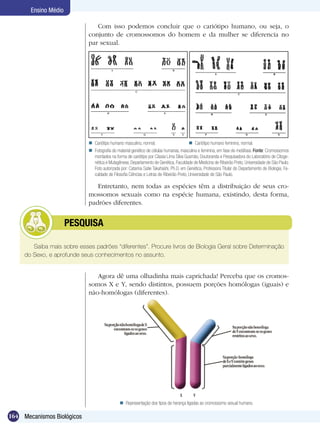 Ensino Médio

                                Com isso podemos concluir que o cariótipo humano, ou seja, o
                             conjunto de cromossomos do homem e da mulher se diferencia no
                             par sexual.




                              Cariótipo humano masculino, normal.                       Cariótipo humano feminino, normal.
                              Fotografia do material genético de células humanas, masculina e feminina, em fase de metáfase. Fonte: Cromossomos
                               montados na forma de cariótipo por Cássia Lima Silva Gusmão, Doutoranda e Pesquisadora do Laboratório de Citoge-
                               nética e Mutagênese, Departamento de Genética, Faculdade de Medicina de Ribeirão Preto, Universidade de São Paulo.
                               Foto autorizada por: Catarina Satie Takahashi, Ph.D. em Genética, Professora Titular do Departamento de Biologia, Fa-
                               culdade de Filosofia Ciências e Letras de Ribeirão Preto, Universidade de São Paulo.

                                Entretanto, nem todas as espécies têm a distribuição de seus cro-
                             mossomos sexuais como na espécie humana, existindo, desta forma,
                             padrões diferentes.


            	         PESQUISA

        Saiba mais sobre esses padrões “diferentes”. Procure livros de Biologia Geral sobre Determinação
     do Sexo, e aprofunde seus conhecimentos no assunto.


                                Agora dê uma olhadinha mais caprichada! Perceba que os cromos-
                             somos X e Y, sendo distintos, possuem porções homólogas (iguais) e
                             não-homólogas (diferentes).




                                                Representação dos tipos de herança ligadas ao cromossomo sexual humano.

164 Mecanismos Biológicos
 