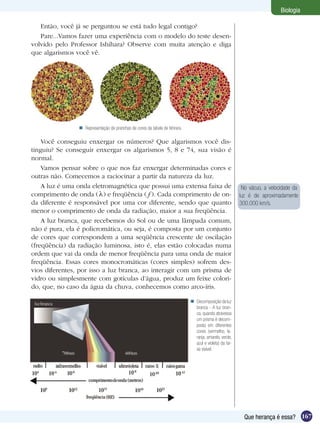 Biologia

   Então, você já se perguntou se está tudo legal contigo?
   Pare...Vamos fazer uma experiência com o modelo do teste desen-
volvido pelo Professor Ishihara? Observe com muita atenção e diga
que algarismos você vê.




                 Representação de pranchas de cores da tabela de Ishirara.

    Você conseguiu enxergar os números? Que algarismos você dis-
tinguiu? Se conseguir enxergar os algarismos 5, 8 e 74, sua visão é
normal.
    Vamos pensar sobre o que nos faz enxergar determinadas cores e
outras não. Comecemos a raciocinar a partir da natureza da luz.
    A luz é uma onda eletromagnética que possui uma extensa faixa de                                       No vácuo, a velocidade da
comprimento de onda ( ) e freqüência ( ). Cada comprimento de on-                                         luz é de aproximadamente
da diferente é responsável por uma cor diferente, sendo que quanto                                        300.000 km/s.
menor o comprimento de onda da radiação, maior a sua freqüência.
    A luz branca, que recebemos do Sol ou de uma lâmpada comum,
não é pura, ela é policromática, ou seja, é composta por um conjunto
de cores que correspondem a uma seqüência crescente de oscilação
(freqüência) da radiação luminosa, isto é, elas estão colocadas numa
ordem que vai da onda de menor freqüência para uma onda de maior
freqüência. Essas cores monocromáticas (cores simples) sofrem des-
vios diferentes, por isso a luz branca, ao interagir com um prisma de
vidro ou simplesmente com gotículas d’água, produz um feixe colori-
do, que, no caso da água da chuva, conhecemos como arco-íris.

                                                                               Decomposição da luz
                                                                                branca - A luz bran-
                                                                                ca, quando atravessa
                                                                                um prisma é decom-
                                                                                posta em diferentes
                                                                                cores (vermelho, la-
                                                                                ranja, amarelo, verde,
                                                                                azul e violeta) da fai-
                                                                                xa visível.




                                                                                                            Que herança é essa? 167
 