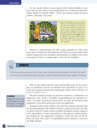 Ensino Médio

                                       Na arte, muitos artistas se preocupam com a expressividade e o uso
                                   das cores em suas obras. Um exemplo disso são as obras da artista bra-
                                   sileira Tarsila do Amaral (1886 – 1973), que retratou temas da nossa
                                   cultura “abusando” das cores.


                                                                        Tarsila pintou este quadro no começo de 1924 e
                                                                         escreveu à sua filha dizendo que estava fazendo
                                                                         uns quadros “bem brasileiros”, e a descreveu
                                                                         como “um bicho esquisito, no meio do mato, com
                                                                         um sapo, um tatu, e outro bicho inventado”. Este
                                                                         quadro é também considerado um prenúncio da
                                                                         Antropofagia na obra de Tarsila e foi doado por ela
                                                                         ao Museu de Grenoble na França. Fonte: TARSILA
                                                                         DO AMARAL, A Cuca, 1924, Colégio do Museu
                                                                         de Grenoble, Grenoble, França. 73 cm x100 cm.
                                                                         Técnica: Óleo sobre tela. www.tarsiladoamaral.
                                                                         com.br/obras5.htm




                                       Observe a representação da obra acima, pintada em 1924, dois
                                   anos após a Semana da Arte Moderna de 1922, um evento onde vários
                                   artistas expuseram seus trabalhos apresentando ao público uma nova
                                   concepção do fazer e compreender a obra de arte brasileira.



               	        DEBATE

         Você concorda que através do uso das cores um artista pode expressar uma idéia? Por quê?
         As cores que você identifica nesta obra são as mesmas identificadas por seus colegas? Compare!




                                       Sabe-se que muitos animais vivem num mundo sem cor, por exem-
                                   plo, os mamíferos (exceto os primatas) não percebem as cores e vi-
                                   vem num mundo eternamente acinzentado (GRANDES TEMAS DA MEDICINA – OS
                                   OLHOS E OS OUVIDOS. 1986, p. 3).

     Rodopsina                         Este fato acontece porque no processo evolutivo, a rodopsina e os
    Fotopigmento púrpura visual
                                   pigmentos azul, verde e vermelho compartilharam um ancestral co-
    (nos bastonetes), que é des-   mum. Um gene ancestral se desenvolveu no gene de bastonete para
    corada pela luz e é necessá-   pigmentos e um único gene para cones de pigmentos.
    ria à visão em luz escassa.        Pesquisas sobre fator evolutivo da visão nos animais apontam que
                                   há aproximadamente 500 milhões de anos, o gene para azul e um úni-
                                   co gene sensível à ondas verde-vermelho divergiram, dando origem à
                                   visão dicromática. A visão tricromática se deu graças à diferenciação,
                                   por duplicação, dos pigmentos vermelho e verde, há cerca de 30 mi-
                                   lhões de anos. Esta visão é compartilhada pelos humanos e macacos
                                   do Velho Mundo.

170 Mecanismos Biológicos
 