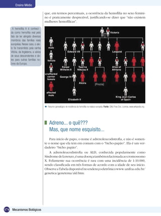 Ensino Médio

                                       que, em termos percentuais, a ocorrência da hemofilia no sexo femini-
                                       no é praticamente desprezível, justificando-se dizer que “não existem
                                       mulheres hemofílicas”.

      A hemofilia A é conheci-
    da como hemofilia real pelo
    fato de ter atingido diversos
    membros das famílias reais
    européias. Nesse caso, o ale-
    lo foi transmitido pela rainha
    Vitória, da Inglaterra, a vários
    de seus descendentes e de-
    les para outras famílias no-
     bres da Europa.




                                        Resumo genealógico de incidência da hemofilia na realeza européia. Fonte: GNU Free Doc. License, www.wikipedia.org




                                         	 Adreno... o quê???	
                                           Mas, que nome esquisito...
                                           Para início de papo, o nome é adrenoleucodistrofia, e não é somen-
                                       te o nome que ela tem em comum com o “bicho-papão”. Ela é um ver-
                                       dadeiro “bicho papão”.
                                           A adrenoleucodistrofia ou ALD, conhecida popularmente como
                                       Síndrome de Lorenzo, é uma doença também relacionada ao cromossomo
                                       X. Felizmente sua ocorrência é rara com uma incidência de 1:10.000,
                                       sendo classificada em três formas de acordo com a idade de seu início.
                                       Observe a Tabela disponível no endereço eletrônico www.unifoa.edu.br/
                                       genetica/genetema/ald.htm:




174 Mecanismos Biológicos
 