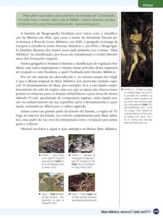 Biologia


     Para saber mais sobre outros exemplos de Unidades de Conservação,
 incluindo fotos e mapas, visite o site do IBAMA - Instituto Brasileiro de Meio
 Ambiente e Recursos Naturais Renováveis - www.ibama.gov.br .


    A história da fitogeografia brasileira teve início com a classifica-
ção de Martius em 1824, que usou o nome da divindade Dryads pa-
ra nomear a flora da Costa Atlântica; em 1926, o geógrafo Gonzaga de
Campos a classificou como Floresta Atlântica e, em 1943, o fitogeógra-
fo Lindalvo Bezerra dos Santos usou pela primeira vez o termo “Mata
Atlântica” na classificação, por levar em consideração o caráter fisionô-
mico das formações vegetais.
    Outros geógrafos e botânicos fizeram a classificação da vegetação bra-
sileira, mas todos empregaram o mesmo nome pelo fato dessa vegetação
ter ocupado a costa brasileira, a qual é banhada pelo Oceano Atlântico.
    Por ser um sistema tão diversificado e, ao mesmo tempo tão frágil,
é que o Bioma tropical da Mata Atlântica tem merecido cuidado espe-
cial. O desmatamento da Mata, por exemplo, leva a um rápido empo-
brecimento do solo da região, uma vez que as águas das chuvas trans-                                FIGURA 12 - A Dríade ou Dríada,
                                                                                                     na mitologia grega, era uma nin-
portam os minerais para os lençóis subterrâneos e para áreas de menor                                fa associada aos carvalhos. Sua
altitude. O solo, geralmente de composição argilosa, sofre rápida ero-                               existência estava vinculada a de
são ou endurecimento da sua superfície após o desmatamento e quei-                                   sua árvore, caso esta fosse abati-
                                                                                                     da, a ninfa pereceria. Fonte: EVE-
mada, tornando-se difícil para o cultivo agrícola.                                                   LYN DE MORGAN (1850 - 1919),
    Assim como em grande parte do Estado do Paraná, a região de Ti-                                  The Dryads, 1895, Pertence ao
                                                                                                     Columbia Museum of Artes, Sou-
bagi, no interior do Estado, era coberta originalmente pela Mata Atlân-                              th Caroline, EUA. Aprox. 185 x
tica, mas parte de sua área foi antropizada com a ocupação por pasta-                                85 cm. Técnica: óleo sobre tela.
                                                                                                     www.columbiamuseum.org
gens e cultivos.
    Observe nas fotos a seguir a ação antrópica no Bioma Mata Atlântica:




                  FIGURA 1 - Ação antrópi-        FIGURA 2 - Resultado da
                   ca na região de Tibagi/PR.       antropização na região de Ti-
                   Desmatamento. Fonte: Fo-         bagi, PR. Desgaste do solo.
                   to de Joel Weçolovis, Tiba-      Fonte: Foto de Joel Weçolo-
                   gi, Paraná, 2005.                vis, Tibagi, Paraná, 2005.




                  Figura 3 - Fonte: Ministério    Figura 4 - Erosão. Fonte: Foto
                   de Meio Ambiente - des-          de Maria Gertrudes Damaceno.
                   matamento na região de           www.diaadiaeducacao.pr.gov.br
                   Palmas/PR, 2004.


                                                                                     Mata Atlântica: socorro!!! Cadê você??? 199
 