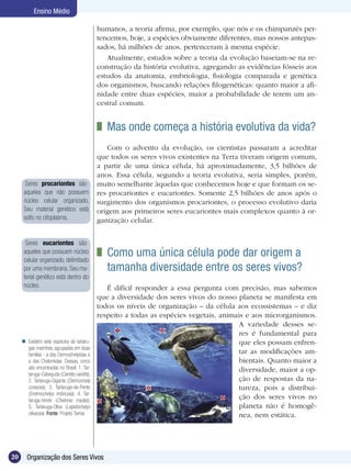 Ensino Médio

                                            humanos, a teoria afirma, por exemplo, que nós e os chimpanzés per-
                                            tencemos, hoje, a espécies obviamente diferentes, mas nossos antepas-
                                            sados, há milhões de anos, pertenceram à mesma espécie.
                                               Atualmente, estudos sobre a teoria da evolução baseiam-se na re-
                                            construção da história evolutiva, agregando as evidências fósseis aos
                                            estudos da anatomia, embriologia, fisiologia comparada e genética
                                            dos organismos, buscando relações filogenéticas: quanto maior a afi-
                                            nidade entre duas espécies, maior a probabilidade de terem um an-
                                            cestral comum.


                                             	 Mas onde começa a história evolutiva da vida?
                                               Com o advento da evolução, os cientistas passaram a acreditar
                                            que todos os seres vivos existentes na Terra tiveram origem comum,
                                            a partir de uma única célula, há aproximadamente, 3,5 bilhões de
                                            anos. Essa célula, segundo a teoria evolutiva, seria simples, porém,
       Seres procariontes são               muito semelhante àquelas que conhecemos hoje e que formam os se-
      aqueles que não possuem               res procariontes e eucariontes. Somente 2,5 bilhões de anos após o
      núcleo celular organizado.            surgimento dos organismos procariontes, o processo evolutivo daria
      Seu material genético está            origem aos primeiros seres eucariontes mais complexos quanto à or-
      solto no citoplasma.                  ganização celular.


       Seres eucariontes são
      aqueles que possuem núcleo
      celular organizado, delimitado
                                             	 Como uma única célula pode dar origem a
      por uma membrana. Seu ma-                tamanha diversidade entre os seres vivos?
      terial genético está dentro do
      núcleo.                                  É difícil responder a essa pergunta com precisão, mas sabemos
                                            que a diversidade dos seres vivos do nosso planeta se manifesta em
                                            todos os níveis de organização – da célula aos ecossistemas – e diz
                                            respeito a todas as espécies vegetais, animais e aos microrganismos.
                                                                                         A variedade desses se-
                                                                                         res é fundamental para
      Existem sete espécies de tartaru-                                                 que eles possam enfren-
       gas marinhas, agrupadas em duas
       famílias - a das Dermochelyidae e                                                 tar as modificações am-
       a das Cheloniidae. Dessas, cinco                                                  bientais. Quanto maior a
       são encontradas no Brasil: 1. Tar-                                                diversidade, maior a op-
       taruga-Cabeçuda (Caretta caretta);
       2. Tartaruga-Gigante (Dermochely                                                  ção de respostas da na-
       coriacea); 3. Tartaruga-de-Pente                                                  tureza, pois a distribui-
       (Eretmochelys imbricata); 4. Tar-
       taruga-Verde (Chelonia mydas);
                                                                                         ção dos seres vivos no
       5. Tartaruga-Oliva (Lepidochelys                                                  planeta não é homogê-
       olivacea). Fonte: Projeto Tamar.                                                  nea, nem estática.




20     Organização dos Seres Vivos
 